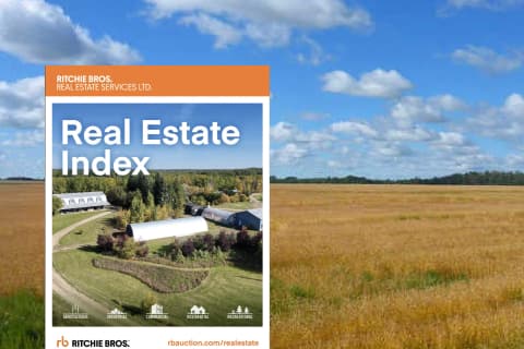 real-estate-index